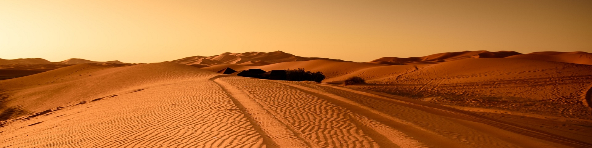 Te acompañamos en tu viaje por el desierto.